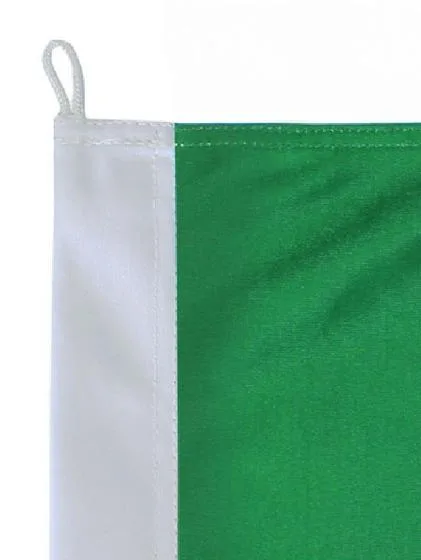 Bandeira do Brasil Oficial 90 x 130cm 100% Poliéster - Imagem 2